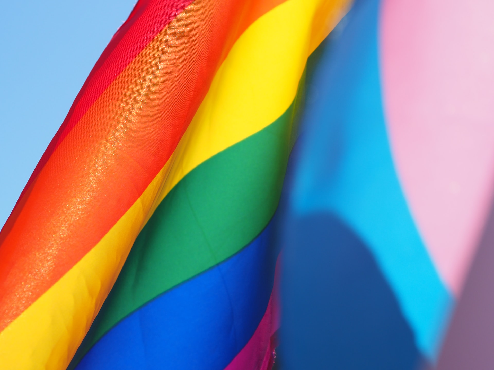 Rainbow pride flag and trans pride flag