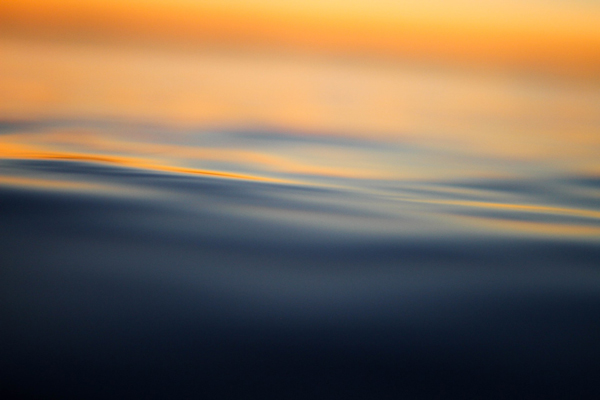 Closeup on the surface of water reflecting sunset