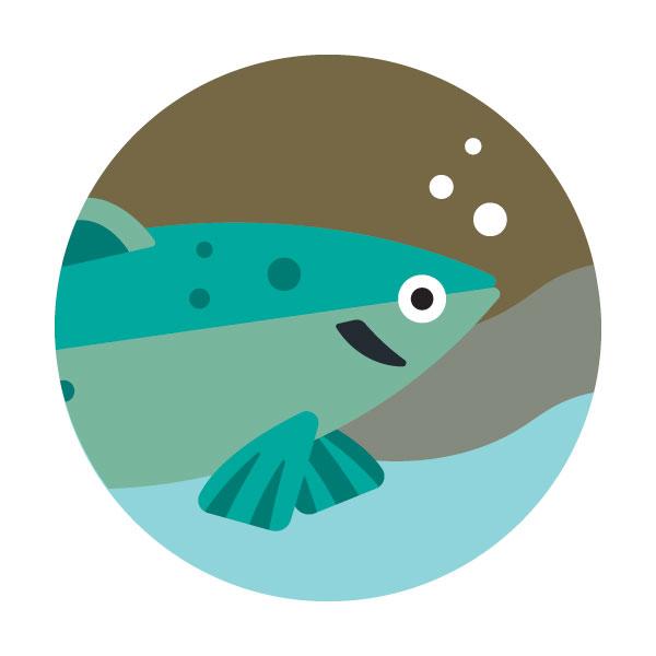 Illustration of a salmon in water