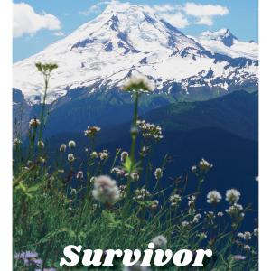 Cover of the WWU Survivor Self-Care Guide featuring an image of Mount Baker in spring